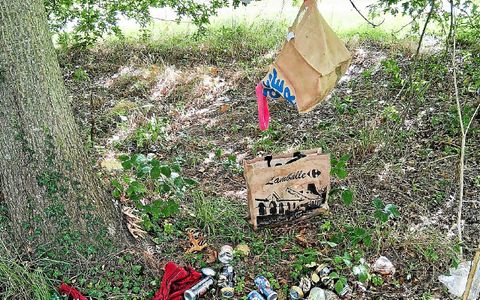 Les déchets retrouvés par le collectif ce 11 novembre.