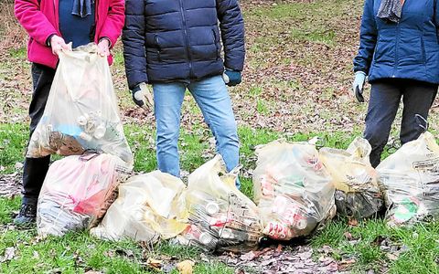 , À Lamballe-Armor, des riverains du parc équestre alertent sur les dépôts sauvages de déchets